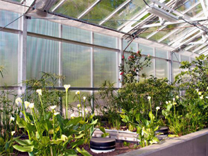 Waste Water Treatment